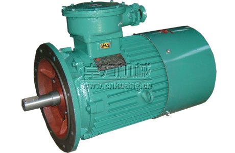 耙斗裝巖機電動機